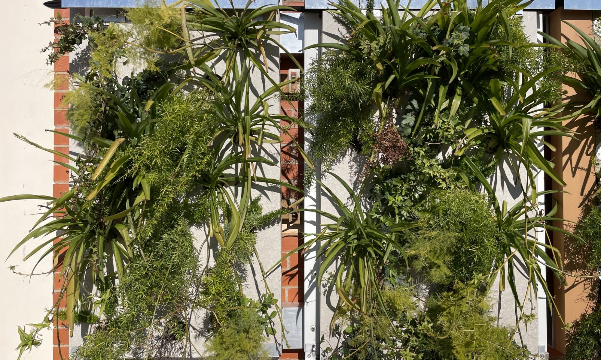 ECOSISCER-fach verde