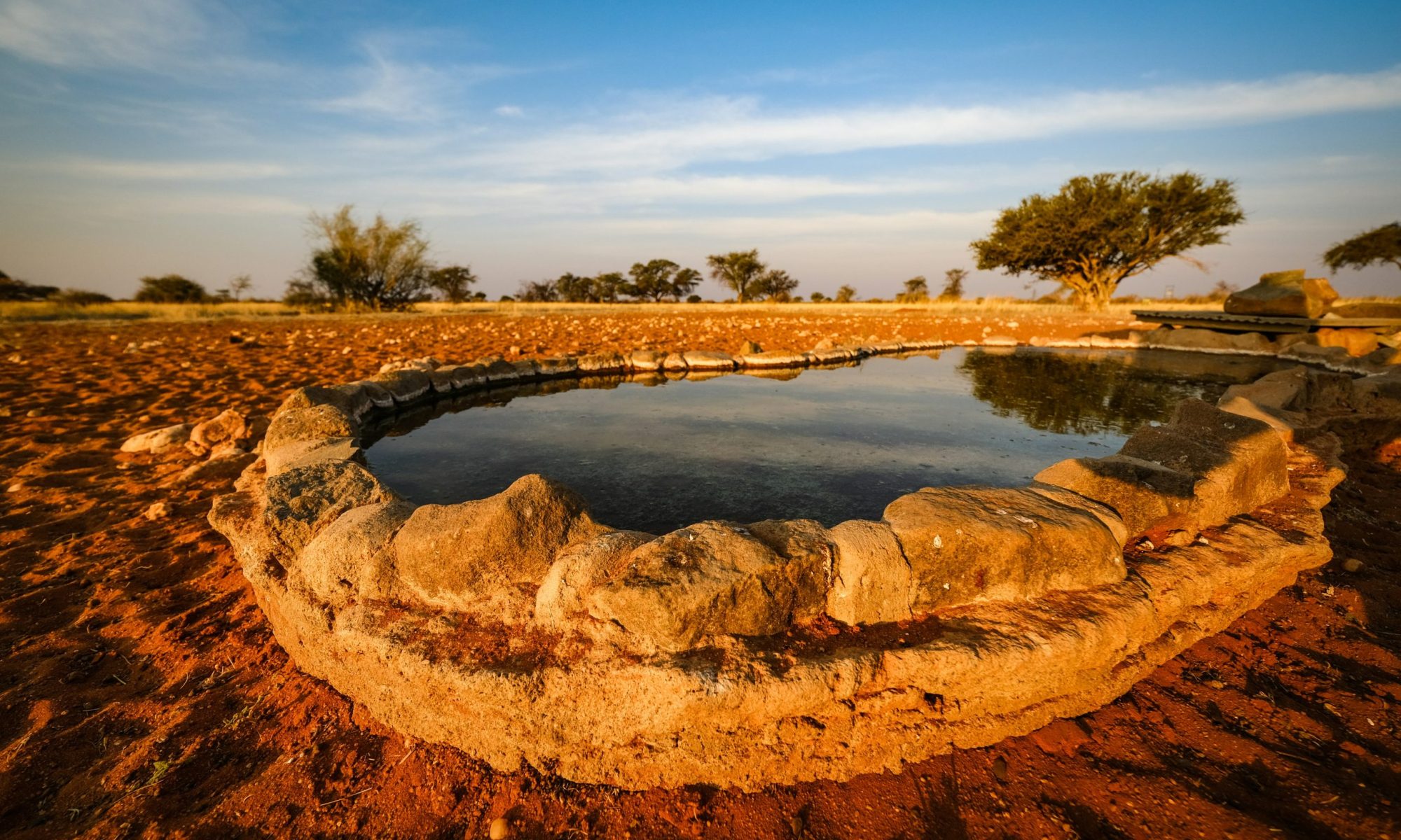 francesco-ungaro-Iuptsh6o5IM-unsplash