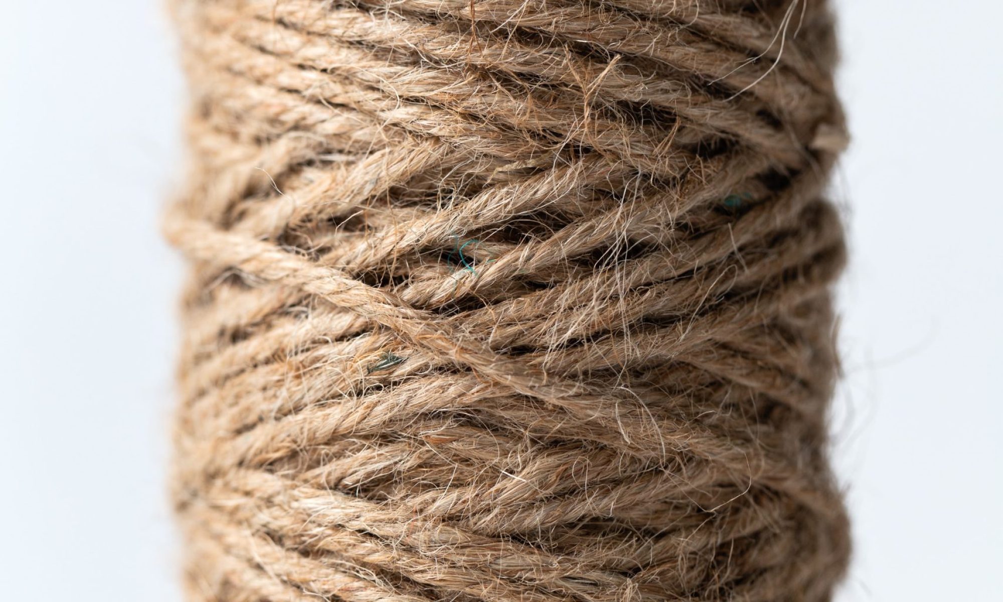 mae-mu--dyxcGiP-rE-unsplash