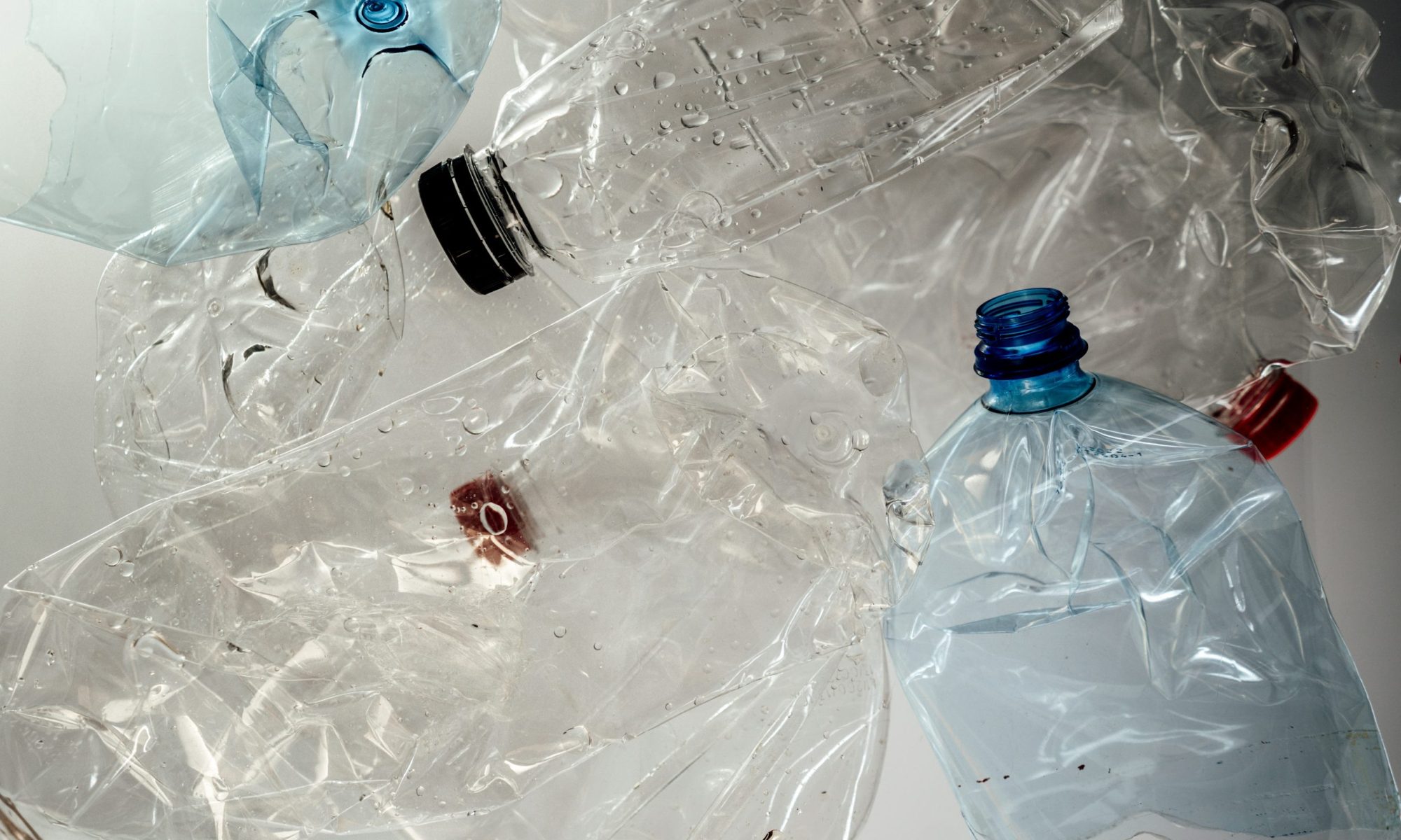 teslariu-mihai-7JQ-5yBDLRY-unsplash